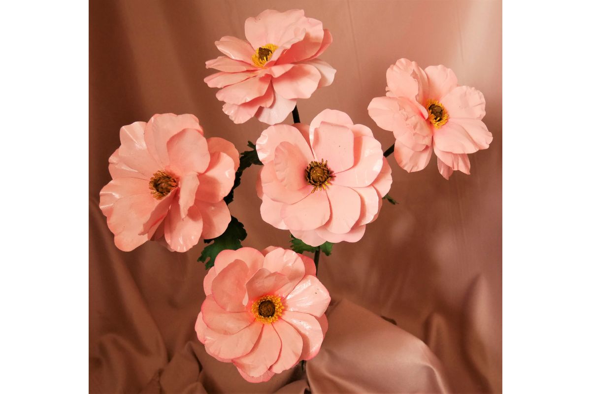 Beautiful Butterfly Ranunculus Ariadne Design