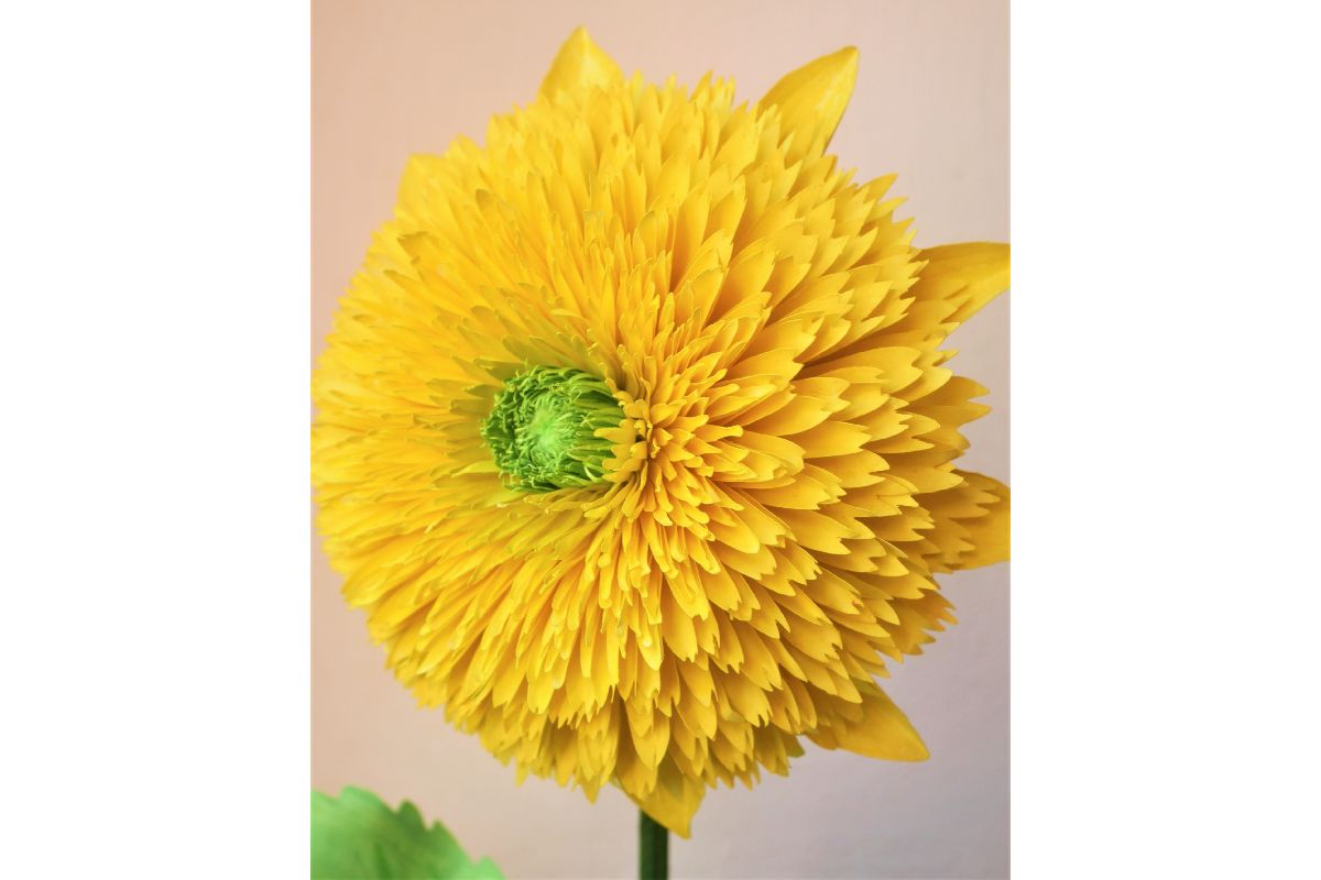 Brilliant Sungold Sunflower Design Asset