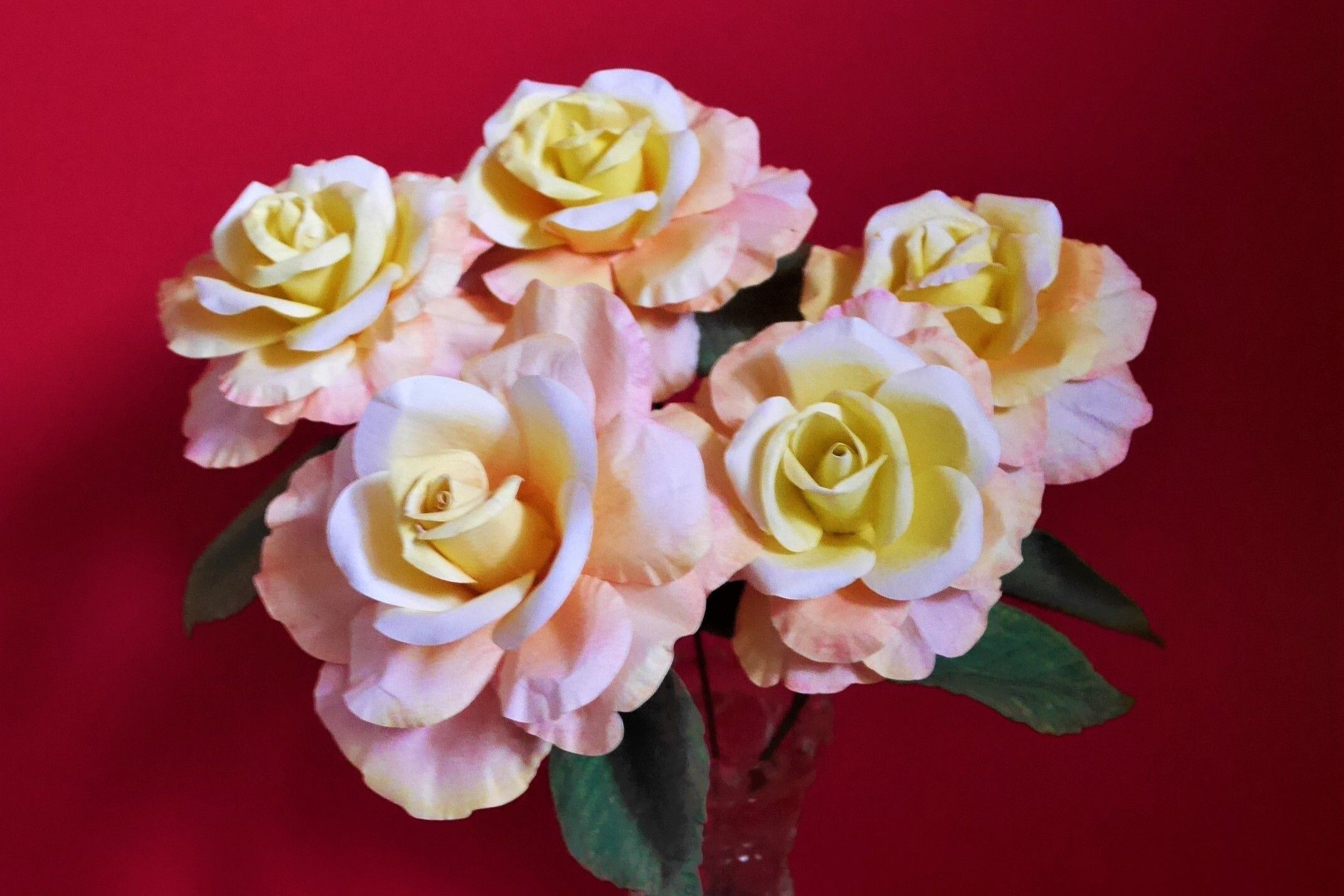 Beautiful Climbing Rose Flower Design