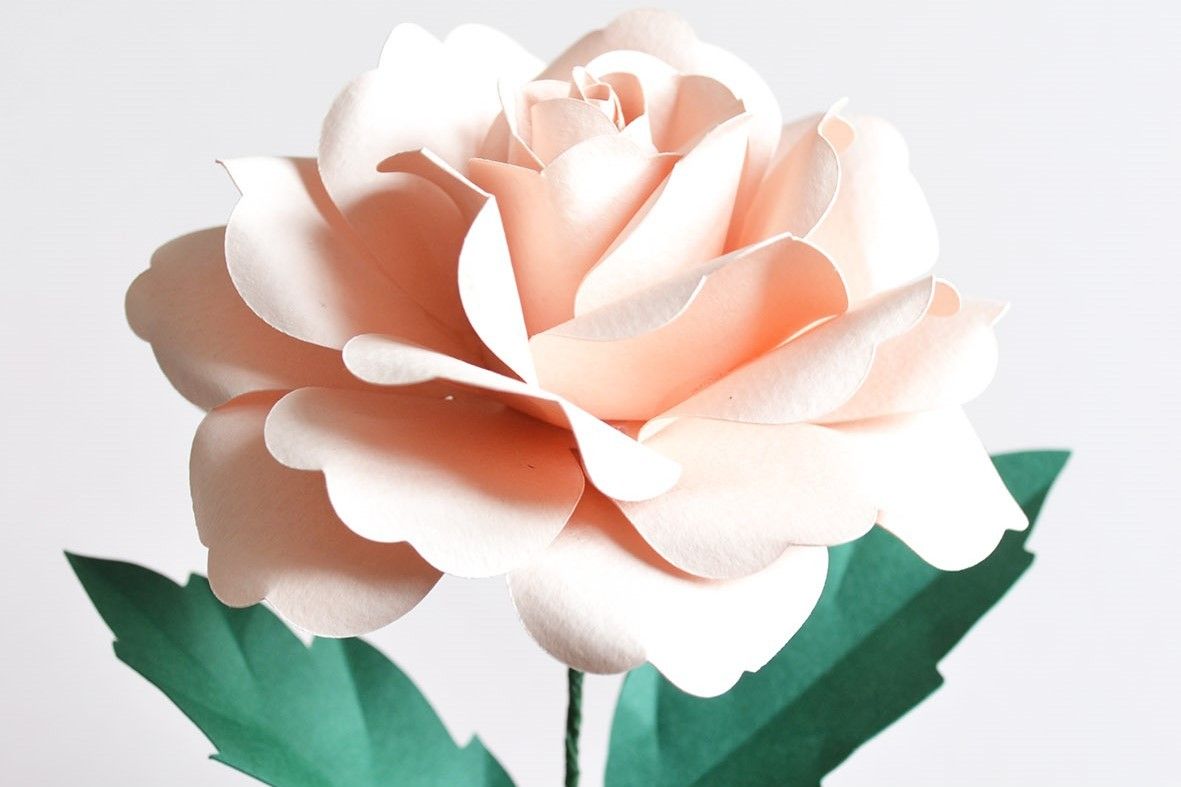 Authentic Garden Rose Paper Flower Template