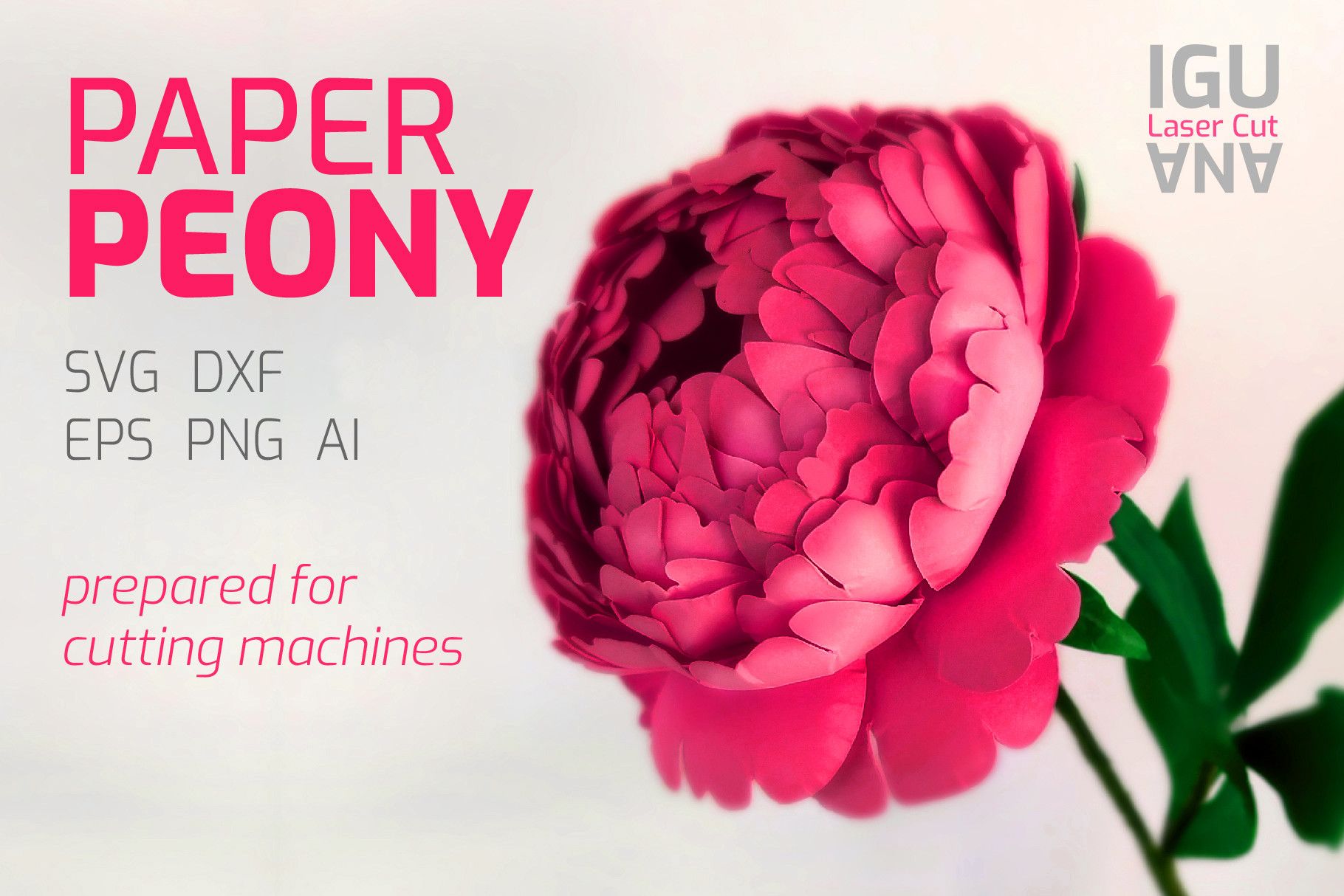 Creative 3D Paper Peony SVG Template DIY